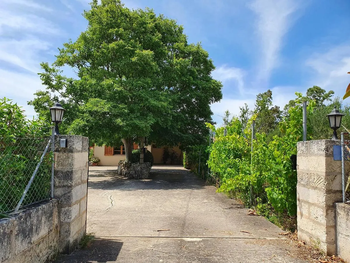 Villa Isern Family Pollenca